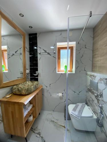 a bathroom with a sink and a toilet and a mirror at Gegest Hotel in Theth