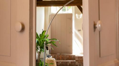 pasillo con espejo y maceta en Bed and Breakfast 't Teutenhuys Eersel, en Eersel