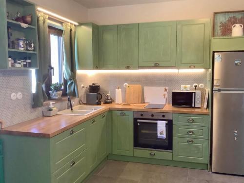 Kuchyň nebo kuchyňský kout v ubytování Erifyli near Mylopotamos in Pelion