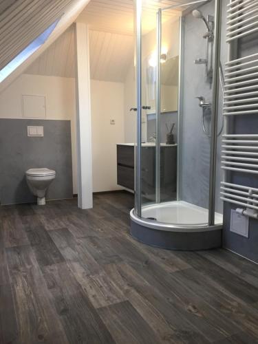 a bathroom with a shower and a toilet at FEWO am Wald in Krauschwitz