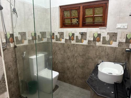 a bathroom with a shower and a toilet and a sink at Kashmir villa in Galle