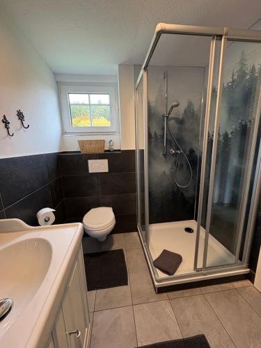 Un baño con ducha, inodoro y lavabo. en Landhaus Sommerberg, en Schleusingen