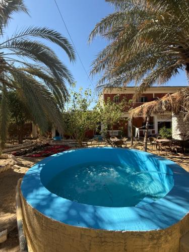 كامب سيوة اواسيس Siwa Oasis Camp