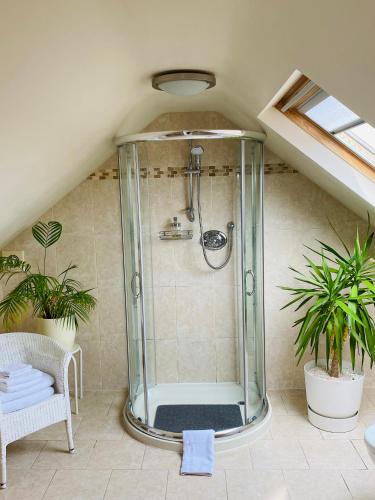 a bathroom with a shower in a attic at Mooredge Guest House in Whitby