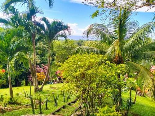 Gallery image of Bellavista House On The Hill in Mambajao