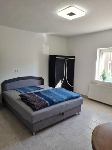 a bedroom with a bed with blue sheets and a table at Haus Ursula in Orgovány