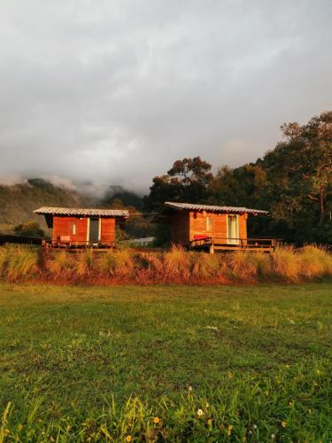 two houses in a field with a grass field at Klang Khao Cabin & Camp in Ban Yang Khun Wang