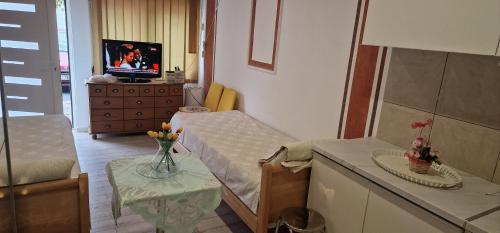 Μια τηλεόραση ή/και κέντρο ψυχαγωγίας στο Apartmani Pekeč