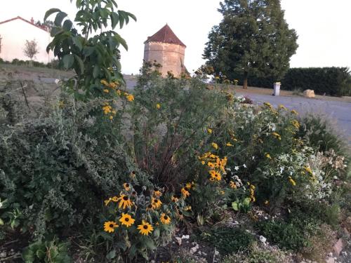 een bloemenveld met een gebouw op de achtergrond bij Chez Mémé, gite proche Futuroscope in Saint-Clair