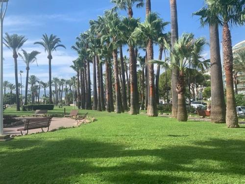 Cannes Palm Beach T2 standing WI FI Climatisation