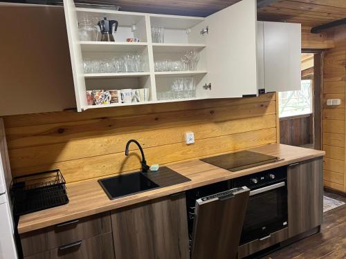 a kitchen with a sink and a counter top at Domek w lesie, nocleg na Lubelszczyźnie in Sosnówka