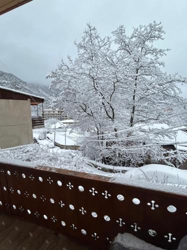 冬のN&G Apartmentの様子