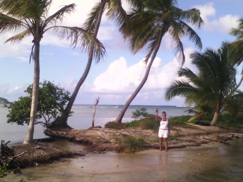 a woman standing on a beach with palm trees at Meryem in La Trinité