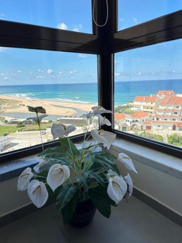a plant in a window sill with a view of the ocean at Face a l'océan - Praia da areia branca, vue mer in Praia da Areia Branca