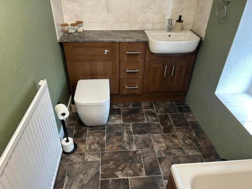 a bathroom with a toilet and a sink at The Snug in Goodrich