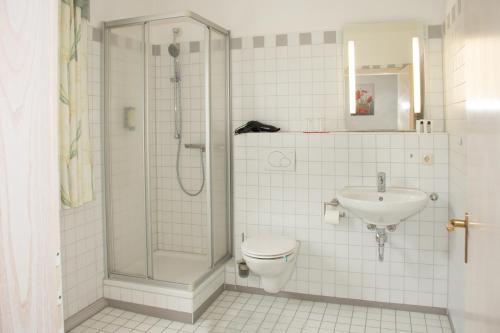 a bathroom with a shower and a toilet and a sink at Dorfschänke Kreuz in Landensberg