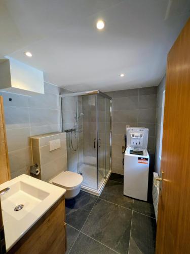 a bathroom with a shower and a toilet and a sink at Ferienwohnung Rosenburg in Randa
