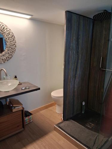 ein Badezimmer mit Toilette, Waschbecken und Dusche in der Unterkunft Escale fleurie in Toulouse