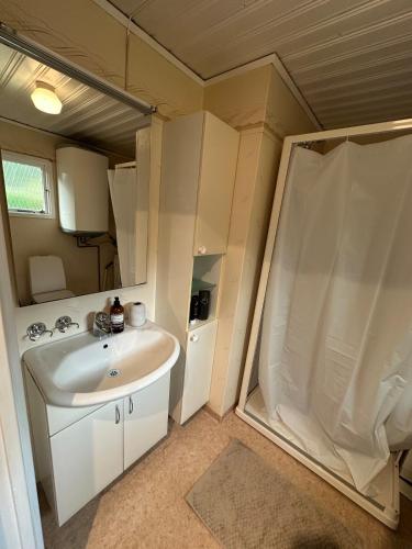 a small bathroom with a sink and a shower at Skogsnära boende i Ludvigsborg in Ludvigsborg