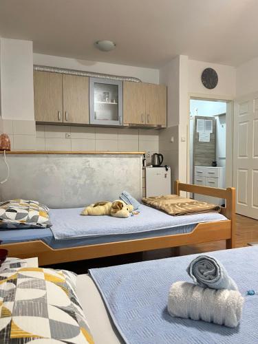 a dog laying on a bed in a room at Apartman B&S Apatin in Apatin