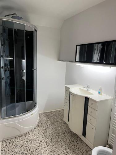 a white bathroom with a shower and a sink at LOFT 70 m2 in Přerov
