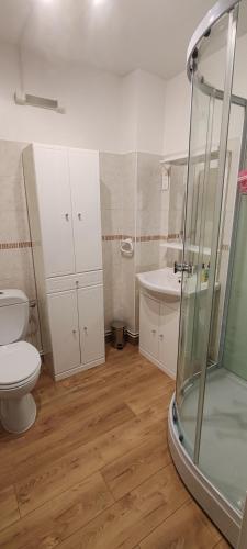 a bathroom with a shower and a toilet and a sink at Appart Soleil et montagne in Les Angles