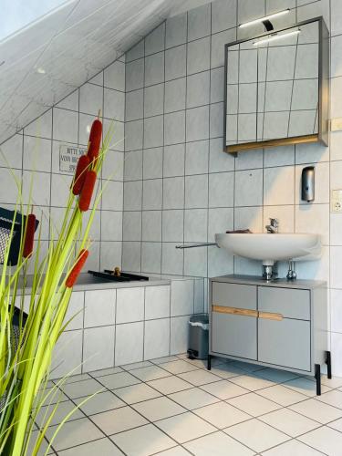 a bathroom with a sink and a mirror at Femo S & E Apartments 2 Bäder eigener Eingang in Burbach