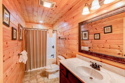 a bathroom with a sink and a toilet and a mirror at Little Creek Lodge in Vilas