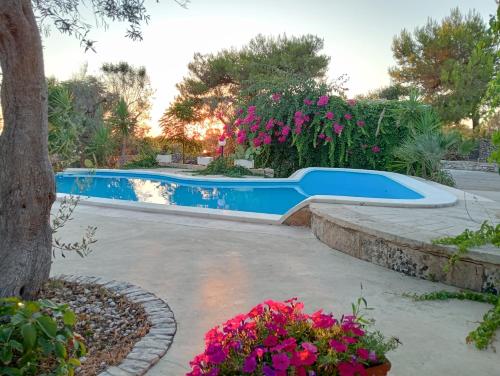 Swimmingpoolen hos eller tæt på Al Marchello offline