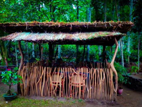 Zahrada ubytování Evergreen Resort Ella