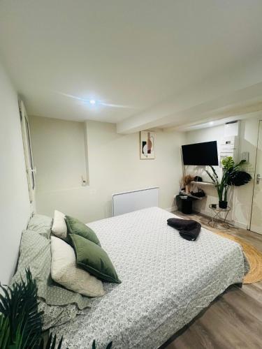 Кровать или кровати в номере Studio Cosy dans le centre historique de Tournon sur Rhône
