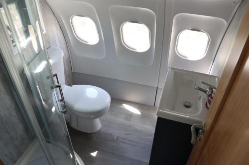 a bathroom with a toilet and a sink in an airplane at AeroHeaven Glamping in Cavan
