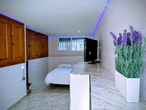 a bedroom with a bed and a tv in it at Chalet independiente con piscina in Partida de La Cañada