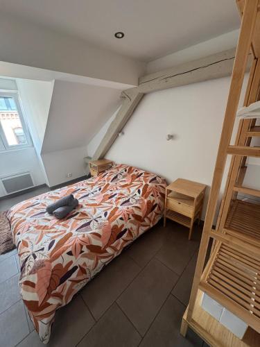 Appartement cosy au centre ville de Colmar
