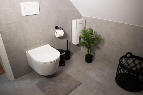 a bathroom with a toilet and a plant in it at Lumé35 in Hachenburg