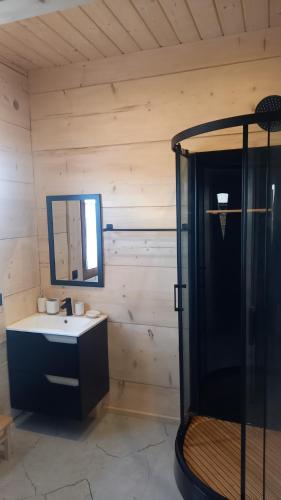 a bathroom with a shower and a sink and a mirror at Bachledowy Wierch 1 in Czerwienne