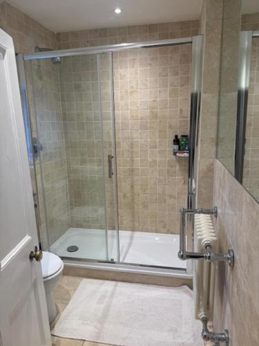 a bathroom with a shower with a toilet and a shower at Vine House in Tetbury