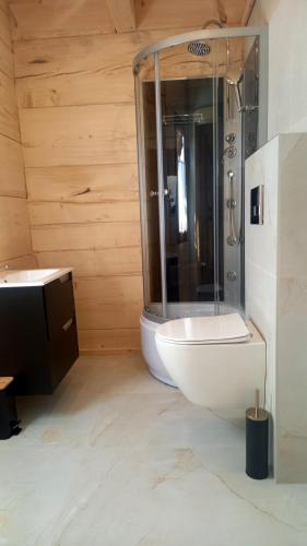 a bathroom with a shower and a toilet and a sink at Bachledowy Wierch 2 in Czerwienne