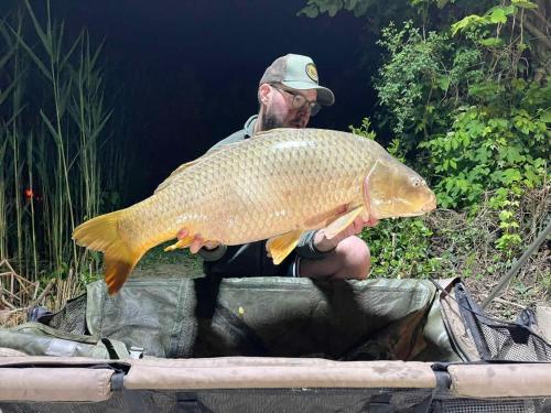 Billede fra billedgalleriet på Aranyhal Vendégház-Ráckeve i Ráckeve