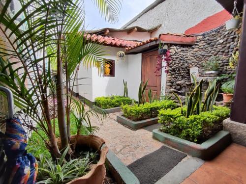 a house with some plants in front of it at Hotel Casa Nikté in Antigua Guatemala