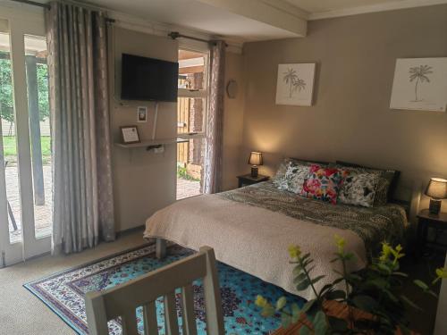a bedroom with a bed and a tv and a window at Palmboom Cottage at Sielerus by Horeb in Clarens