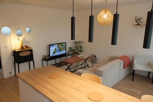 a living room with a couch and a tv at Aux Trompettes Violettes in Amiens
