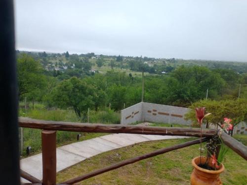 a plant in a pot on a wooden railing at Turco in Villa Giardino