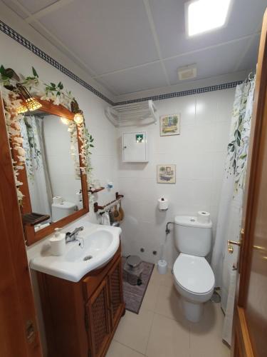 a bathroom with a toilet and a sink and a mirror at Apartamento Rural Casa Mar in El Bosque