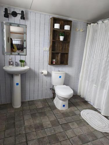 a bathroom with a toilet and a sink at Vive Hostel in Puerto Natales