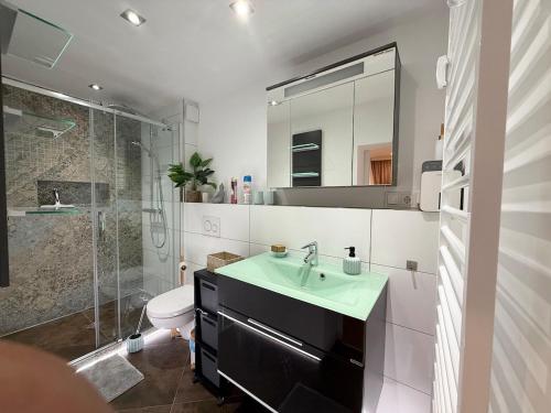 a bathroom with a sink and a toilet and a shower at Lahn-Paradies 