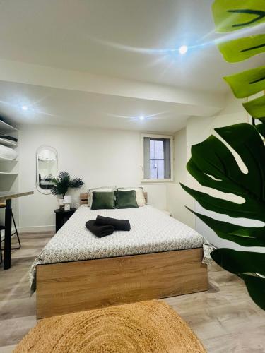 Кровать или кровати в номере Studio Cosy dans le centre historique de Tournon sur Rhône