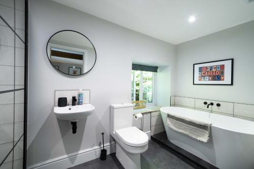 a bathroom with a sink and a toilet and a mirror at Goytre Hall Self Catering Guest Accommodation in Abergavenny