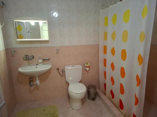 un baño con inodoro y lavabo en Къща за гости У Нико, en Orehovo