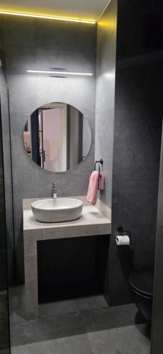 een badkamer met een wastafel en een spiegel bij Apartament Jaguar in Bydgoszcz